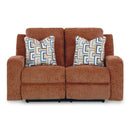 Signature Design by Ashley Danum 3880786C Reclining Loveseat IMAGE 3