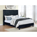  Mazin Furniture Deirdre 1992BKQ Queen Upholstered Platform Bed, Black IMAGE 6