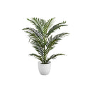  Monarch I 9508 28"H - Indoor Palm In A 6" Pot IMAGE 2