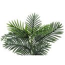  Monarch I 9508 28"H - Indoor Palm In A 6" Pot IMAGE 5
