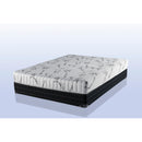 Domon Collection Serein 39 XL IMAGE 1