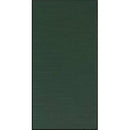 Samsung Bespoke Door Panel - Emerald Green Steel RA-F18DU4QG/AA IMAGE 1