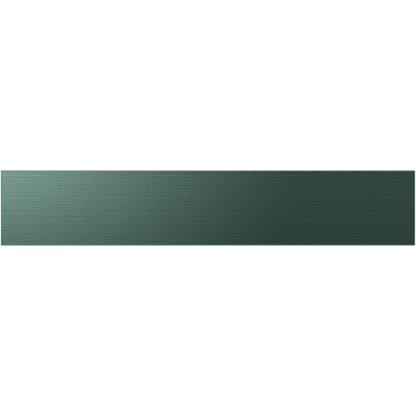 Samsung Bespoke Door Panel - Emerald Green Steel RA-F36DMMQG/AA IMAGE 1
