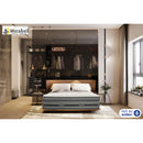 Domon Collection 178902 - Optimum 39 IMAGE 1