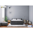 Domon Collection Melia 39XL IMAGE 1