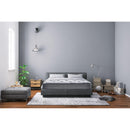 Domon Collection Fuca 39XL IMAGE 1