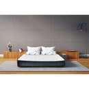 Domon Collection 178918 - Fabia 39XL IMAGE 1