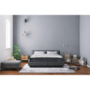 Domon Collection Etna 39XL IMAGE 1