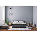 Domon Collection Lagon 60 IMAGE 1