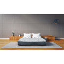 Domon Collection 178947 - Cigale 39 IMAGE 1