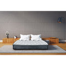 Domon Collection 178949 - Cigale 60 IMAGE 1